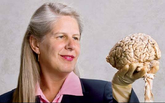 Il ruolo dei due emisferi cerebrali