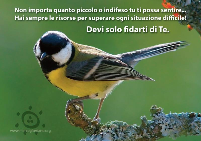 Devi solo fidarti di Te